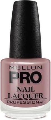 Mollon Pro Classic Varnish 15ml 271 (Farblack)
