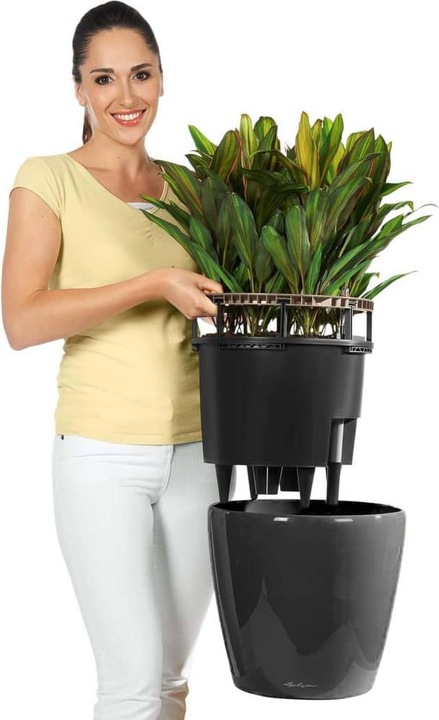 Actual product image Lechuza Classico (28.50 cm)