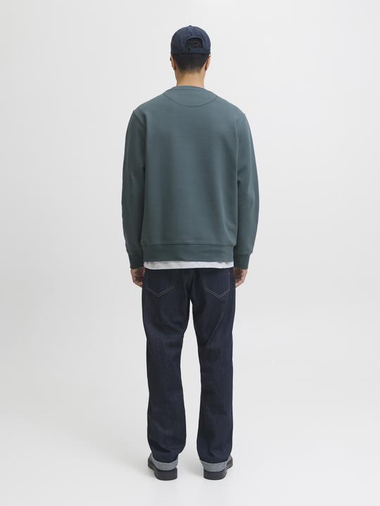 Actual product image Jack & Jones RDD Gedruckt Sweatshirt Sweatshirt (M)