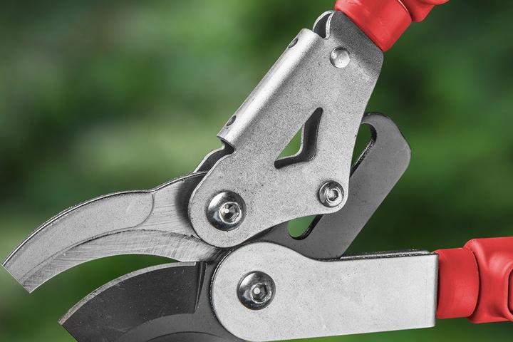 Produktbild Verto 258 Astschere Bypass