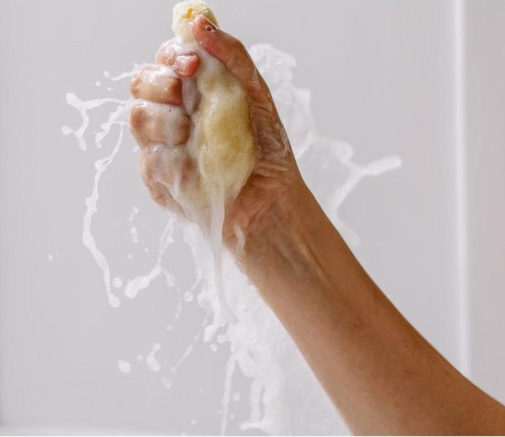 Immagine prodotto Body Vital Spugna naturale