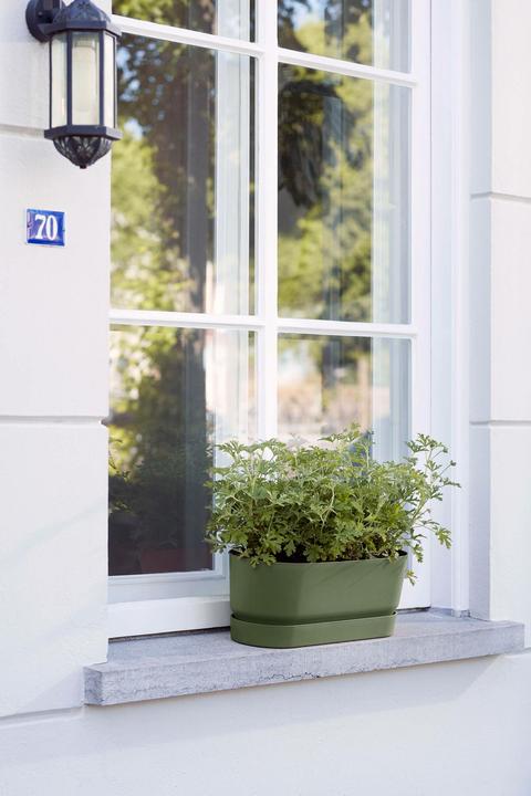 Actual product image Elho Greenville (20 cm)