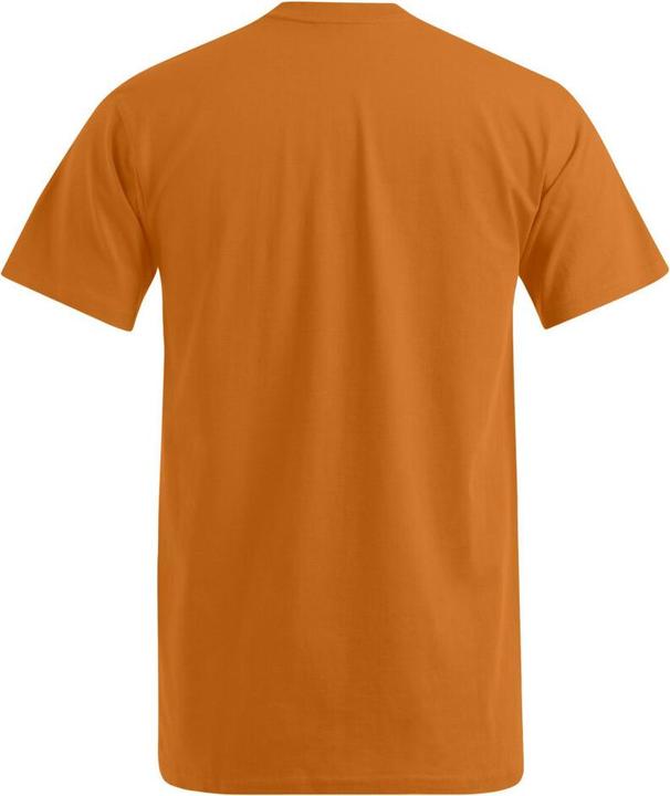 Produktbild Promodoro Premium V-Neck-T (M)
