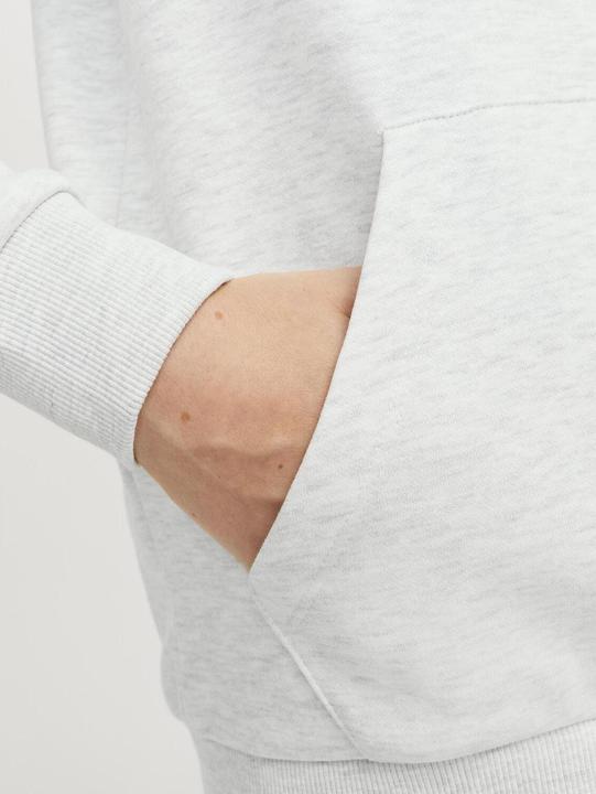 Produktbild Jack & Jones Jjecaleb Varsity Sweat Hood Noos Jnr (140)