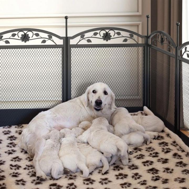 Image du produit Hermex Parc à chiots