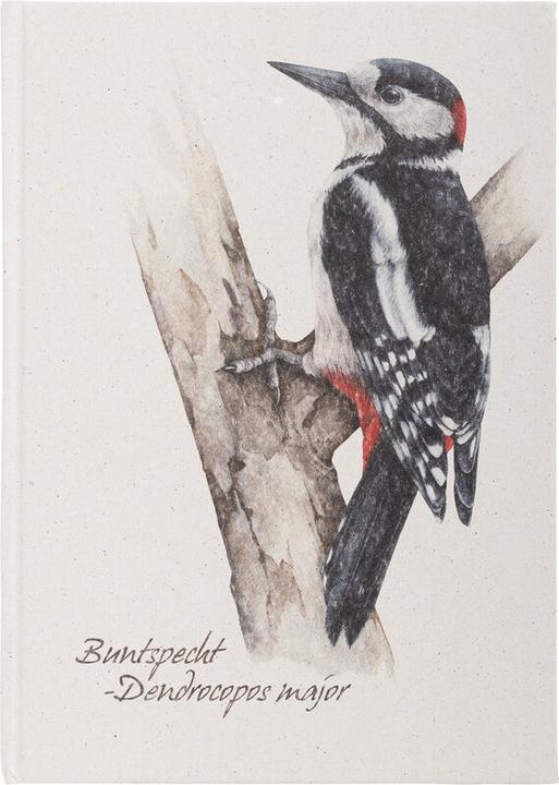 Actual product image Pagna Notizbuch A5 Buntspecht 128S (A5)