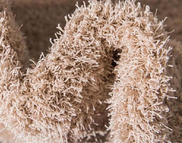 Actual product image Hadorn Lucerne (274 x 366 cm)