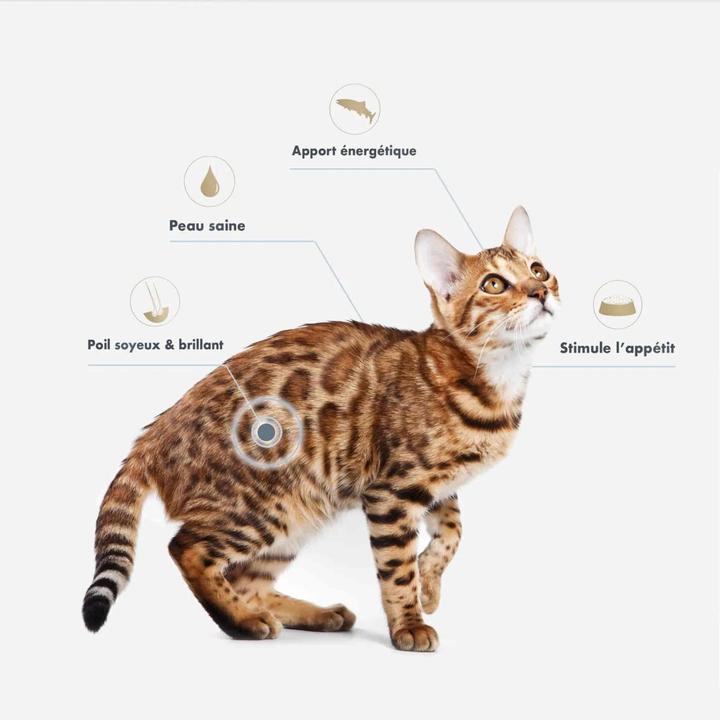 Produktbild Ultra Premium Direct Lachsöl (Adult, 500 g)