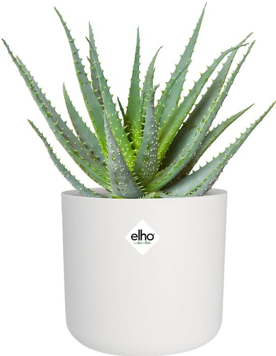 Produktbild Elho b.for soft (13.80 cm)