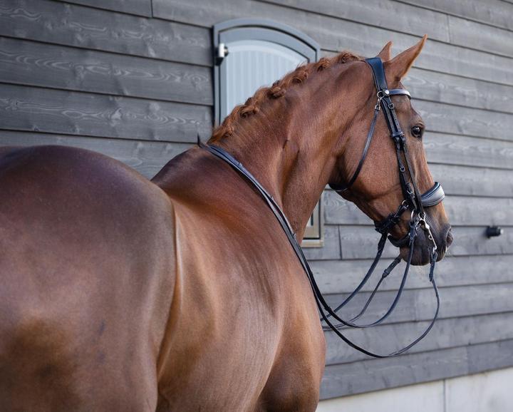 Image du produit Pres Teq Bridon FayPerform