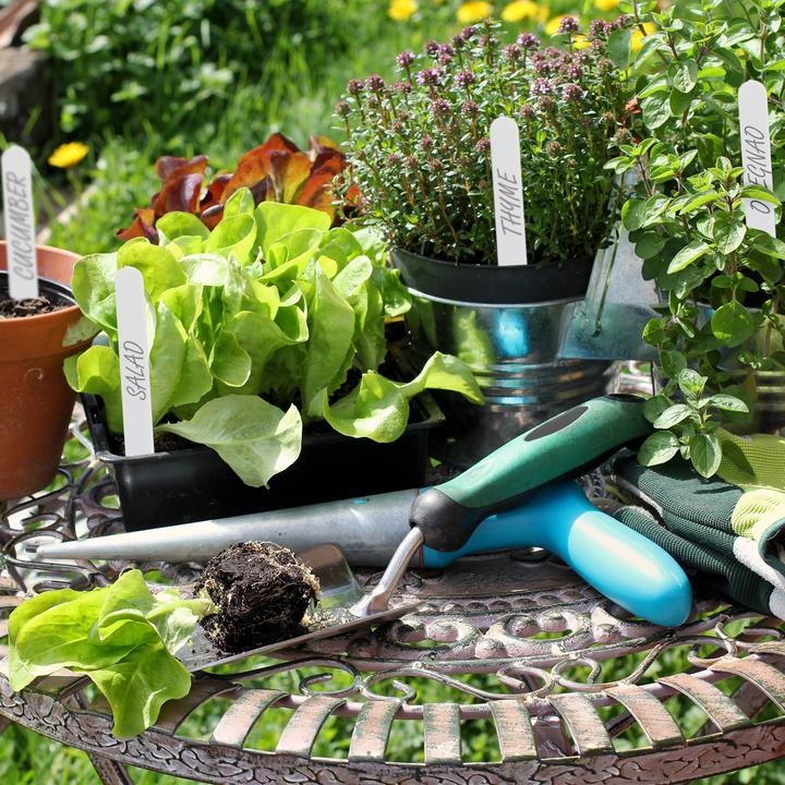 Actual product image Relaxdays 500x plant labels (0.10 cm, 1.50 cm)