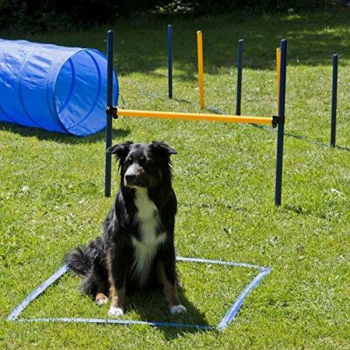 Petcenter Set agilità XXL - 1 tunnel 60x152 cm, 8 aste da slalom, 2 salti, 1 fascia da boxe (Taglia unica, Destrezza)
