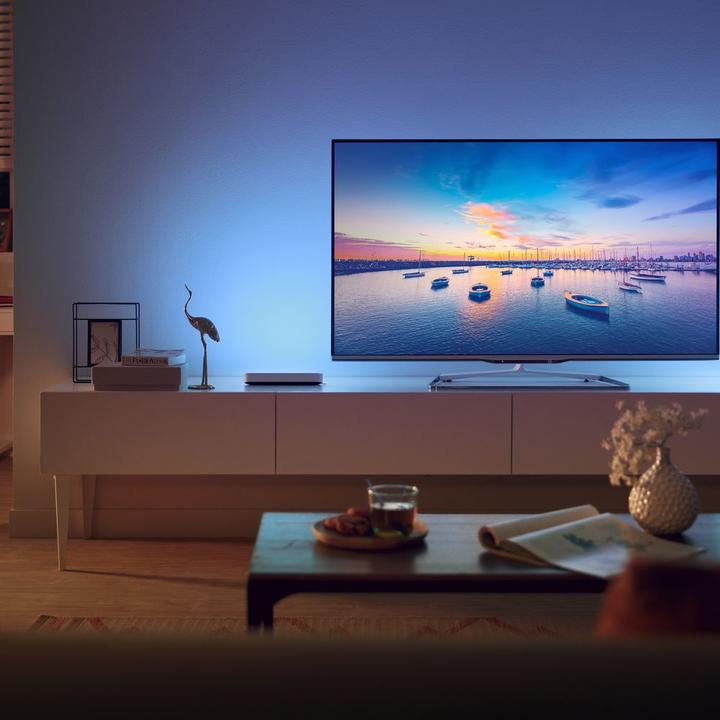 Actual product image Philips Hue Play expansion (530 lm)