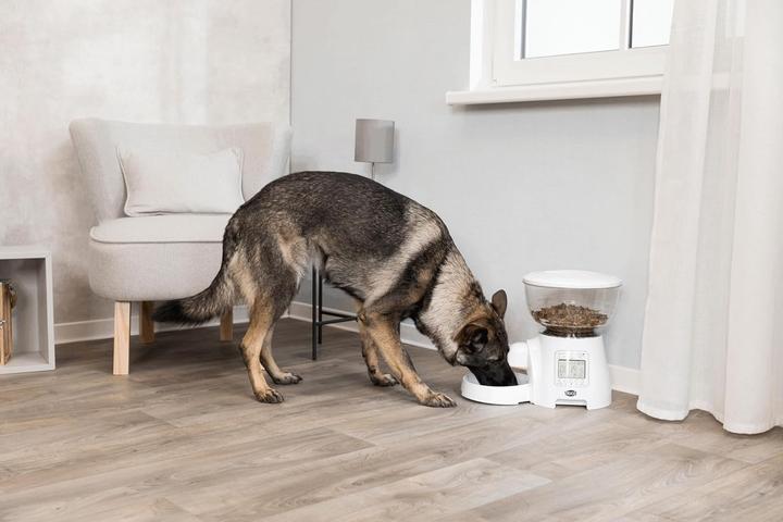 Image du produit Trixie Alimentateur automatique (5 l)