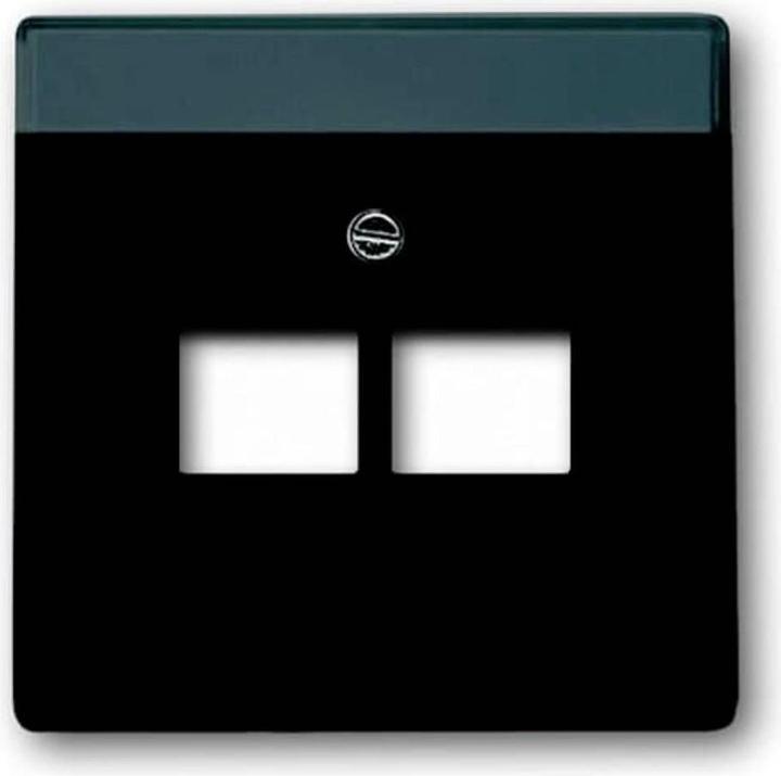 Actual product image Busch-Jaeger Central disk