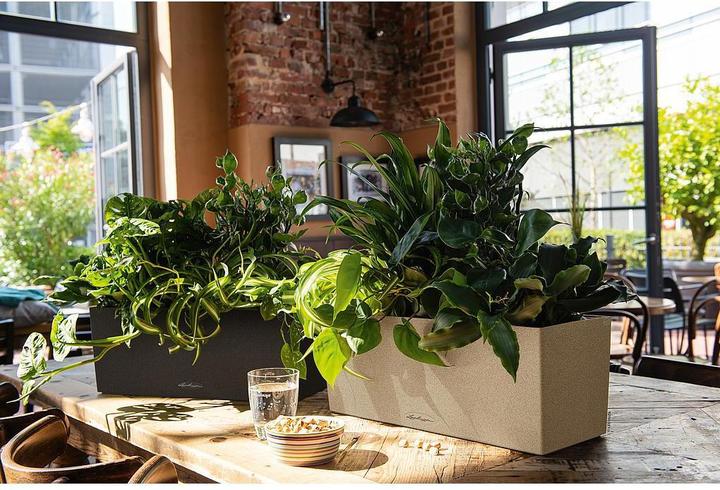 Produktbild Lechuza Balconera Stone (50 x 19 x 19 cm)