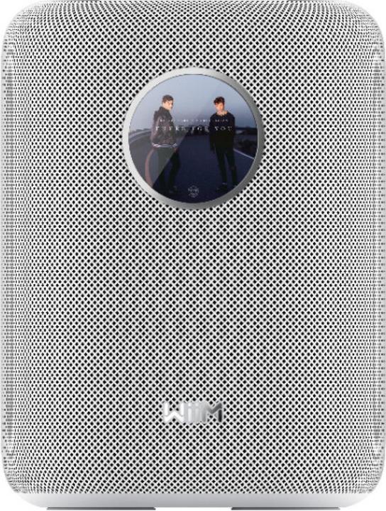 Image du produit WiiM Son Lpwisndw (Amazon Alexa, Apple Siri, Assistant Google)
