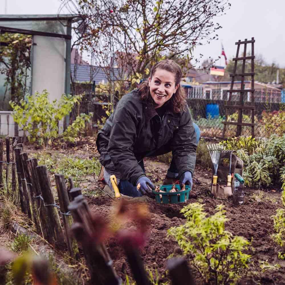 Thumbnail - Siena Garden, Blumentopf, Blumenzwieb.-Pflanzsch.31cm (30 cm)