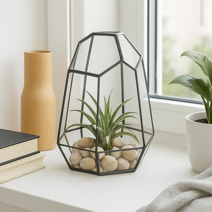 Image du produit Relaxdays Geometrisches Pflanzenterrarium aus Glas