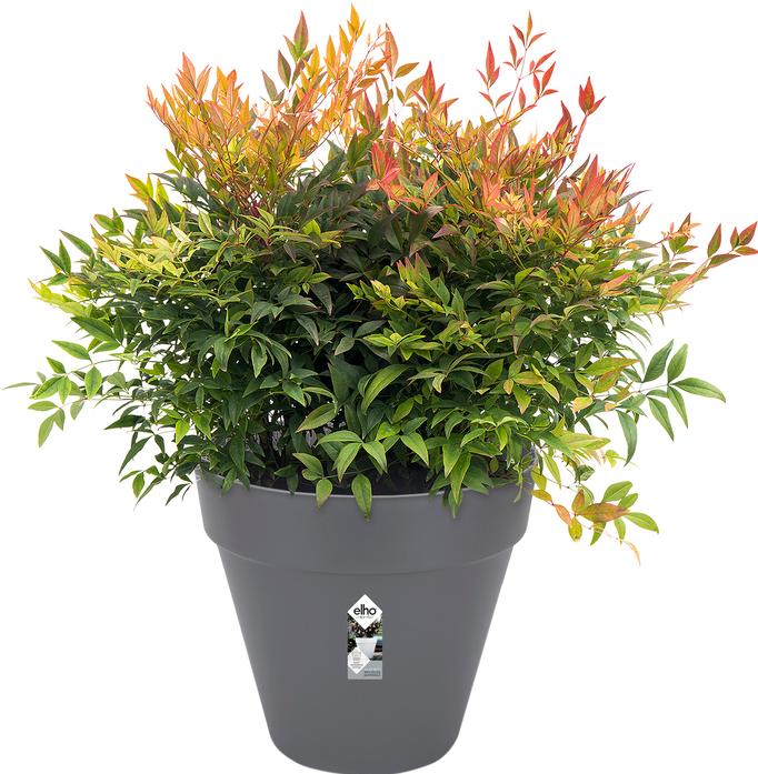 Produktbild Elho Loft Urban (19.30 cm)