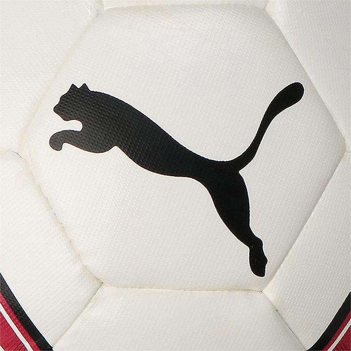 Actual product image Puma teamFINAL 21 Lite Ball 290g-083313 (4)