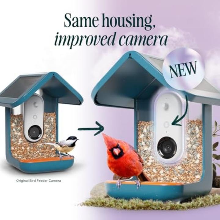 Actual product image Bird Buddy Smart Bird Feeder 2.0