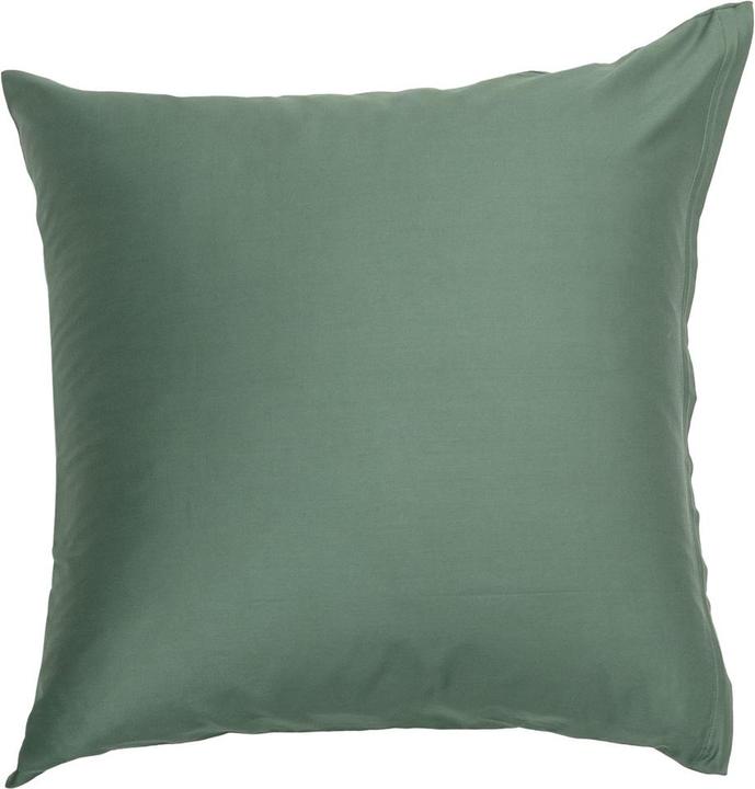 Actual product image Johann Jakob Sora (Pillowcase, 50 x 70 cm)