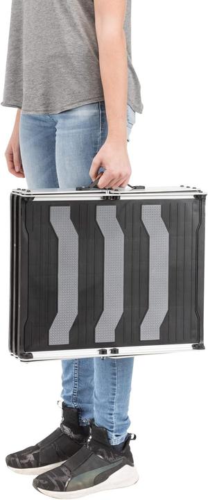 Produktbild Trixie 3-stufige Falt-Treppe (Hund, Faltbar)