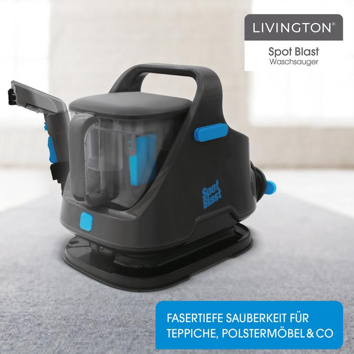 Actual product image Livington Spot Blast