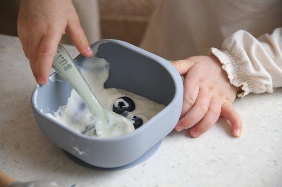 Actual product image Beaba Bowl