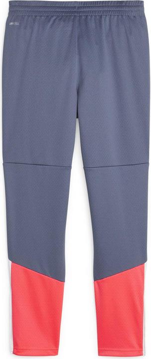 Actual product image Puma individualCUP Training Pants Jr (176)