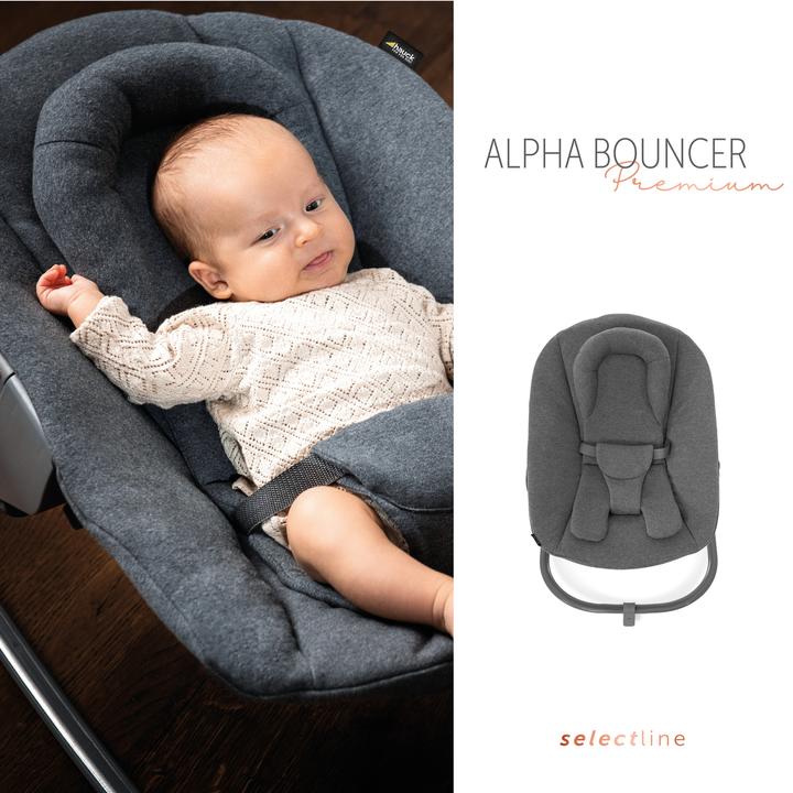 Produktbild Hauck Alpha Bouncer Premium (Hochstuhl)