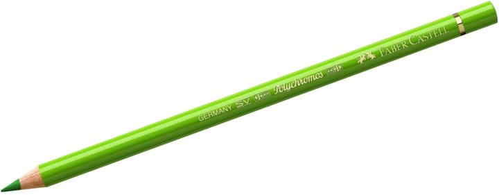 Produktbild Faber-Castell Farbstift Polychromos grüne erde gelblich (Grünerde Gelblich, 1 x)