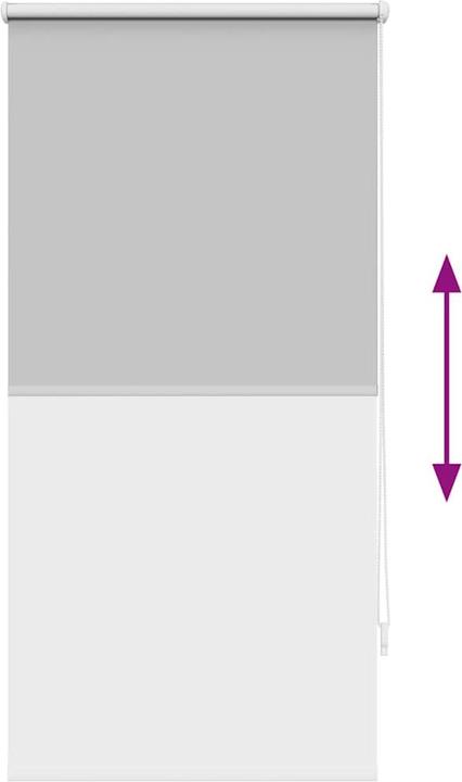 Produktbild vidaXL Verdunkelungsrollos (60 x 120 cm)