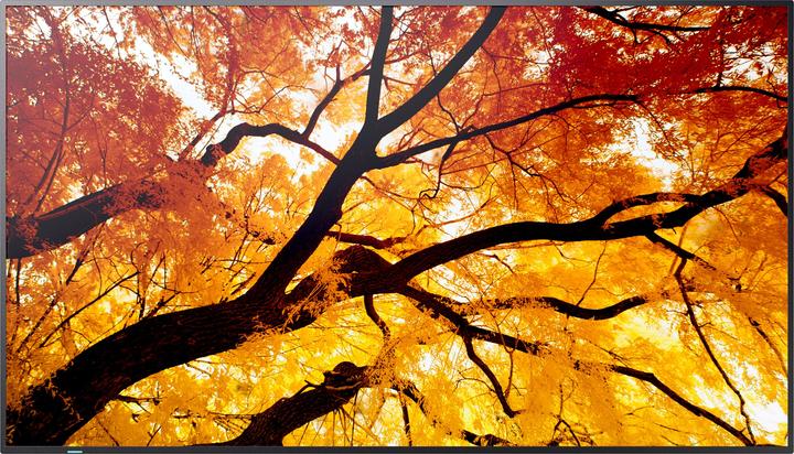 Immagine prodotto NEC Sharp MultiSync M322 32", FHD, 24h 450cd/m2 xx% Haze (1920 x 1080 pixel, 32")