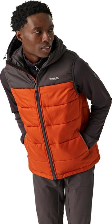 Produktbild Regatta Nevado Weste Schwer Ärmellos (XL)
