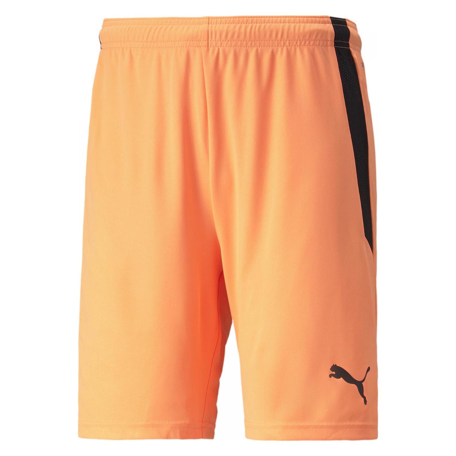 Puma, Herren, Sporthose, TeamLIGA Shorts-704924 (L), Grau