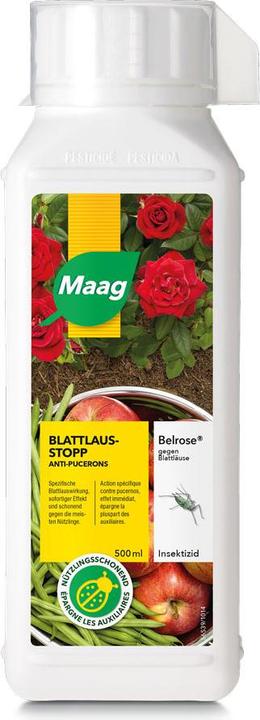 Produktbild Maag Belrose (Blattläuse)