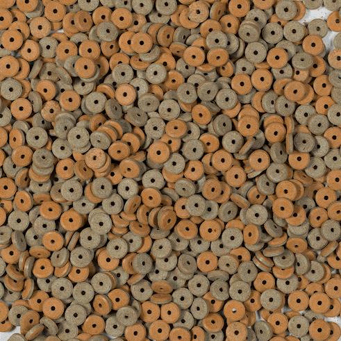 Produktbild Tetra Tips Haft Futtertabletten (Guppys)