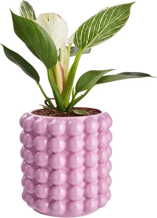 Image du produit home24 Bubble (14.50 cm)