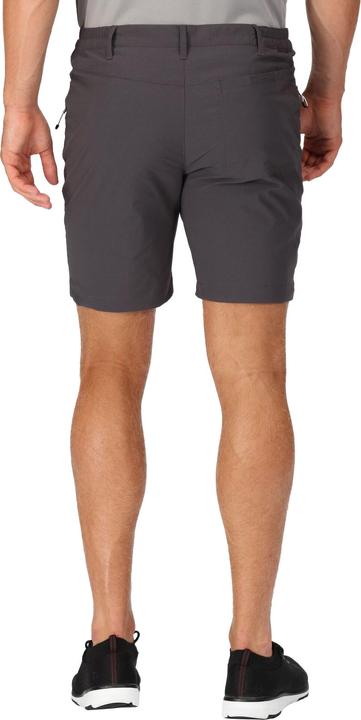 Actual product image Regatta Mens Highton Walking Shorts (44)