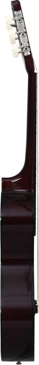 Actual product image VidaXL Jahleel (Classical guitar, Nylon, Lime wood, Duroplastic plastics)