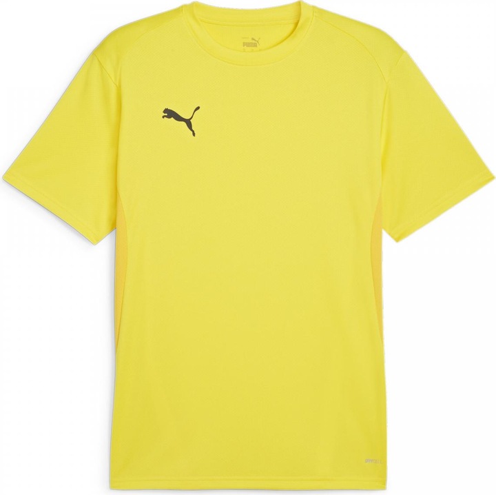 Actual product image Puma teamGOAL Jersey (L)