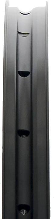 Actual product image Notubes Crest MK4 (Front wheel, 29")