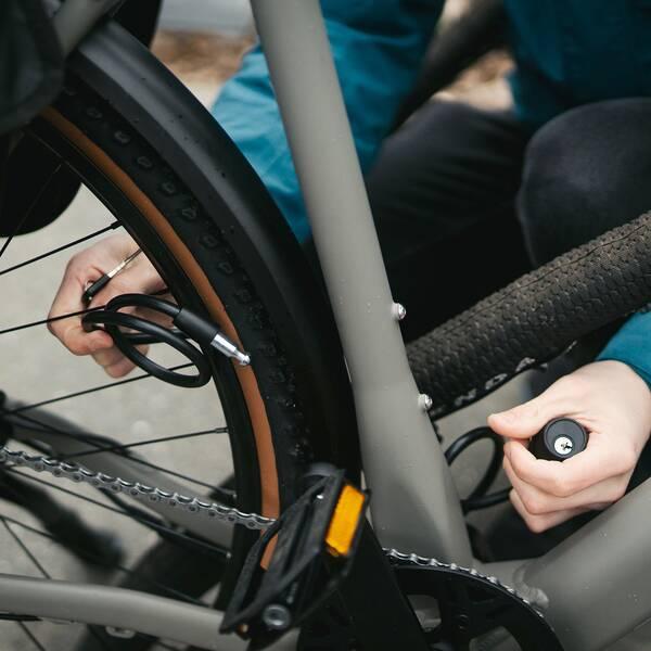 Produktbild M-Wave S 8.15 S (150 cm)