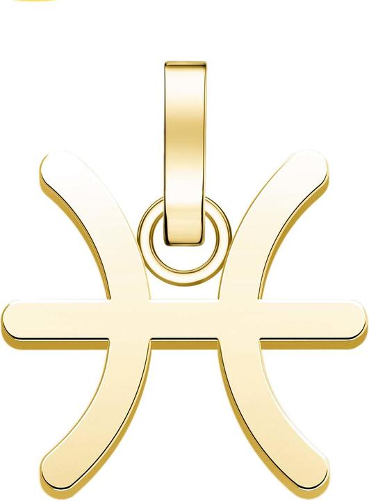 Produktbild Rosefield The Pendant PE-Gold-Pisces-S Gold Plated Pendant (PE-Gold-Pisces-S)