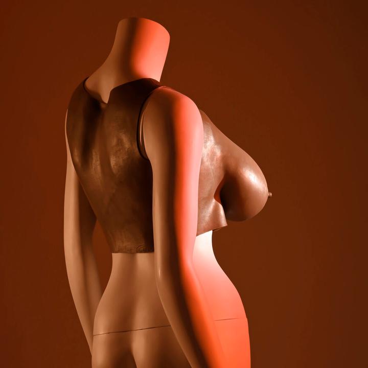 Immagine prodotto Gender X Intimo - Piastra E-Cup Marrone 30 cm