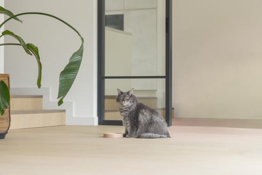 Image du produit Designed by Lotte Jace (0.35 l)