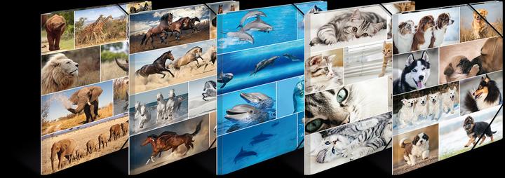 Actual product image Herma A3 motif folder (A3, 10 x)