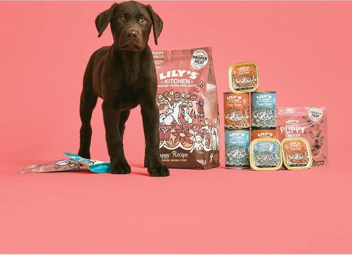 Produktbild Lily's Kitchen Puppy Huhn (Junior, 1 Stk., 7000 g)